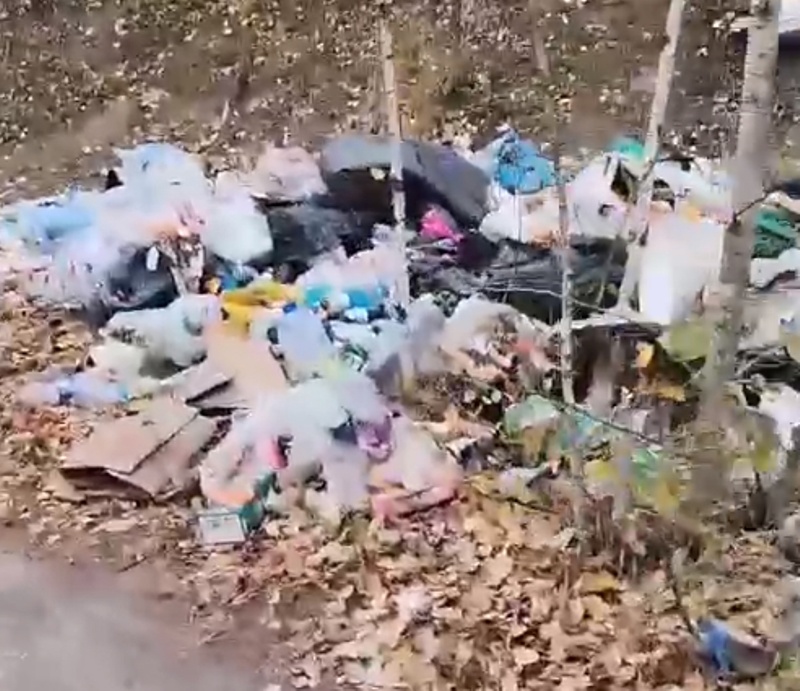 Туляки сняли треш-обзор на неубранные от мусора Кондуки