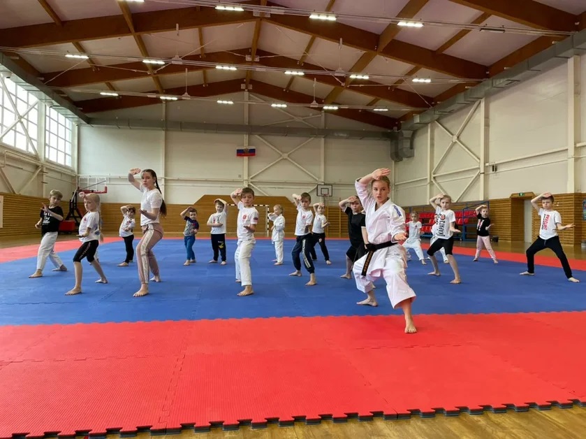Щекинские каратисты получили урок от мастера спорта международного класса