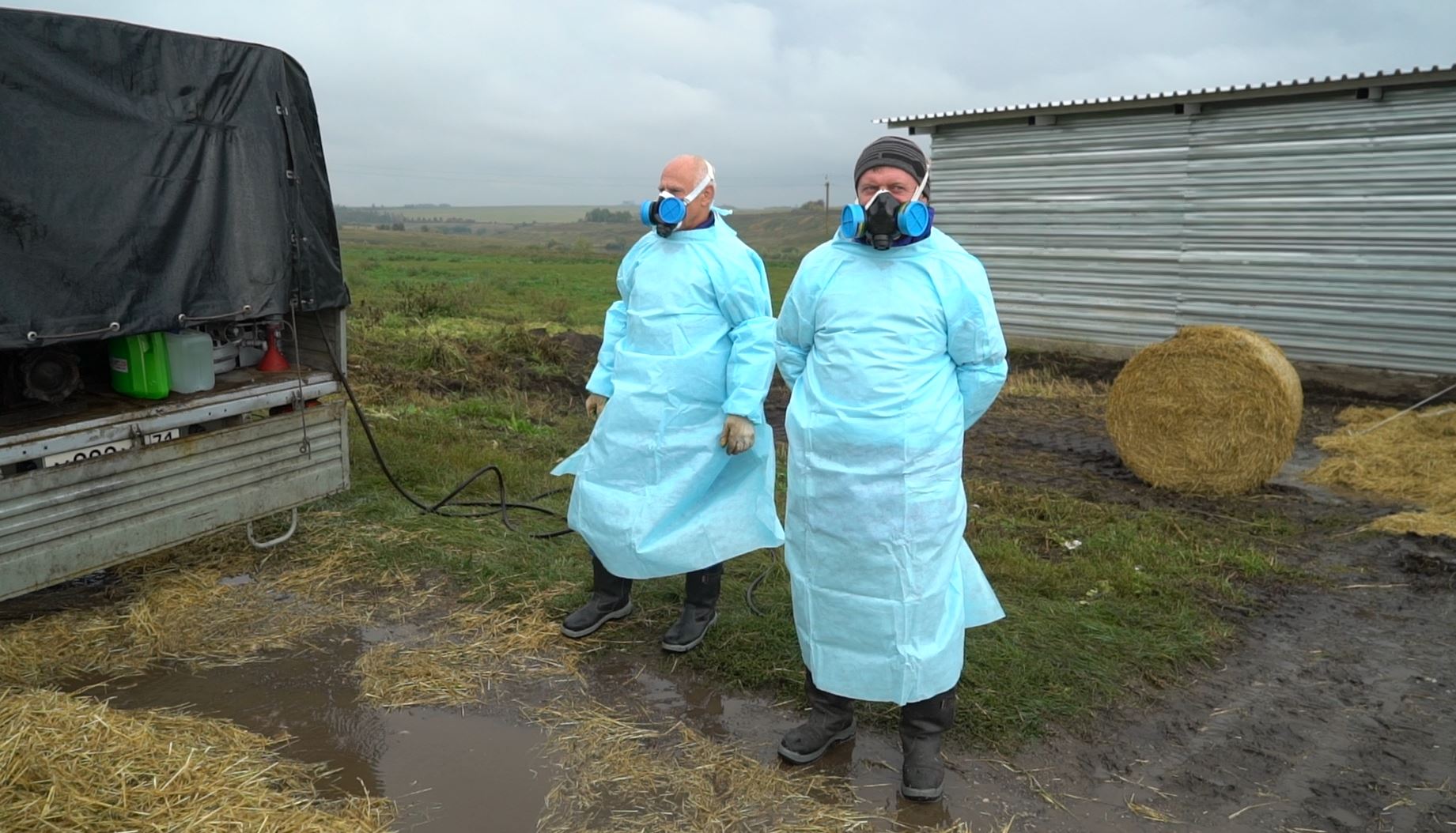 «У коров обнаружили опасный вирус»: в Тульской области прошли учения ветеринарных служб