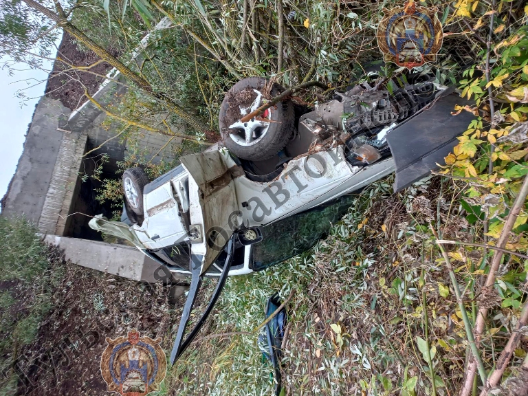 В Киреевском районе пьяный водитель Volkswagen Passat врезался в дерево