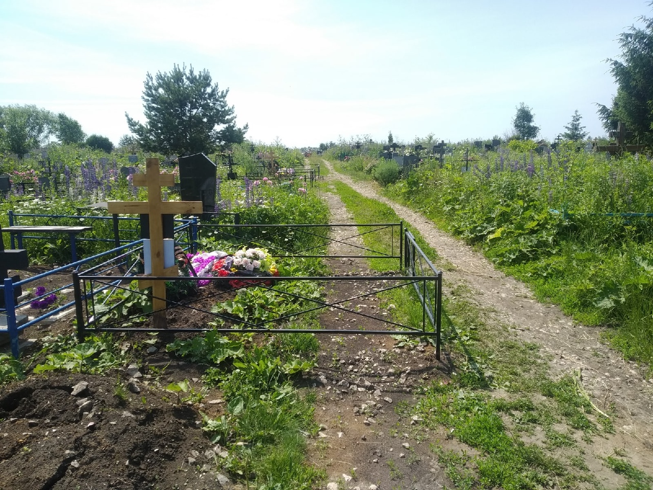 Руководство Новомосковского кладбища пояснило причины расположения новых захоронений
