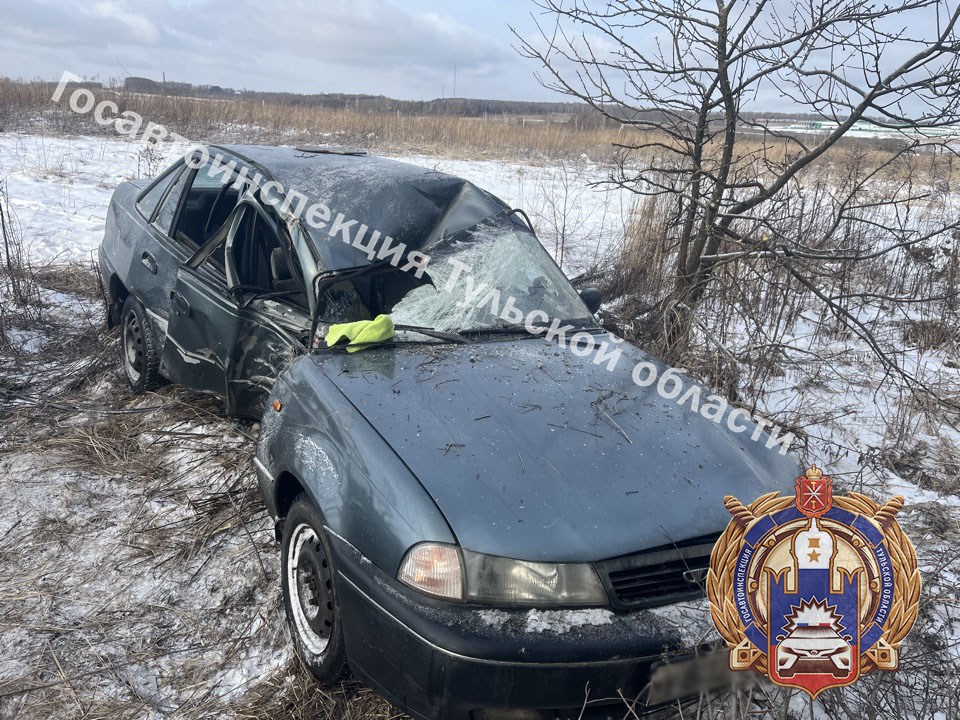 В Большой Туле 55-летний водитель съехал в кювет и врезался в дерево: есть пострадавшие