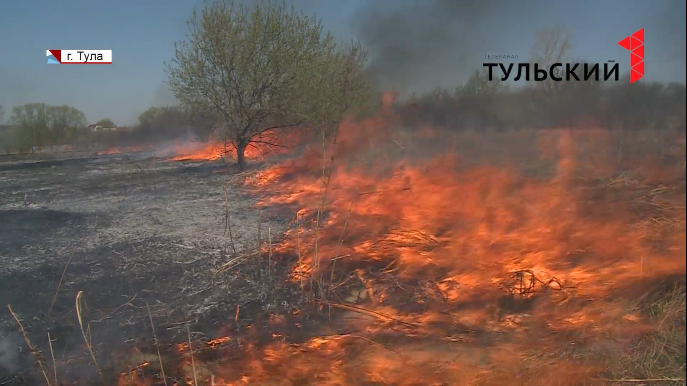 С 22 июля в Тульской области вводится особый противопожарный режим