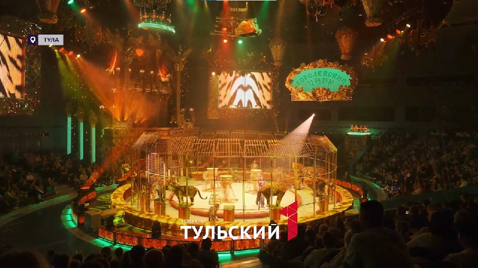 Ни одного свободного места: в чем секрет успеха "Королевского цирка" Гии Эрадзе в Туле