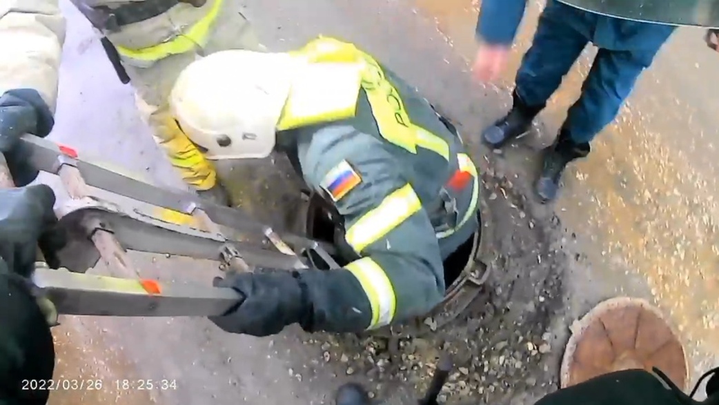 В Донском пожарные спасли щенка из канализационного колодца