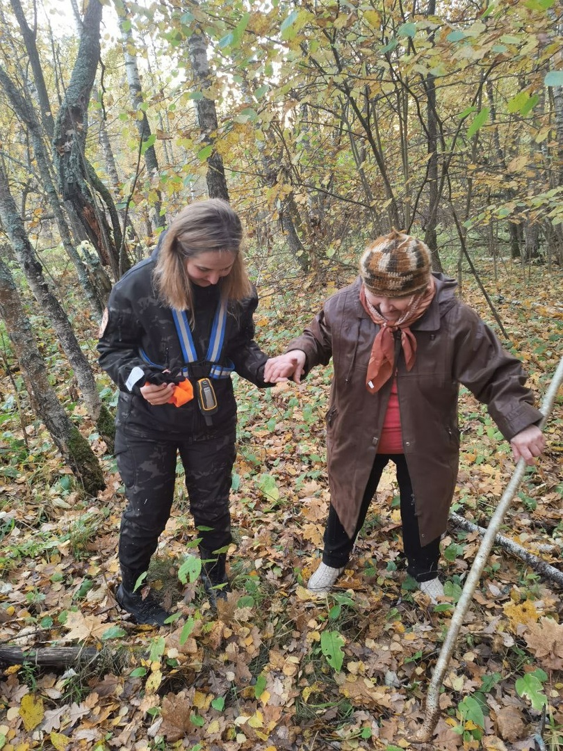 Под Тулой поисковики вывели из леса 87-летнюю бабушку - Новости Тулы и  области - 1tulatv