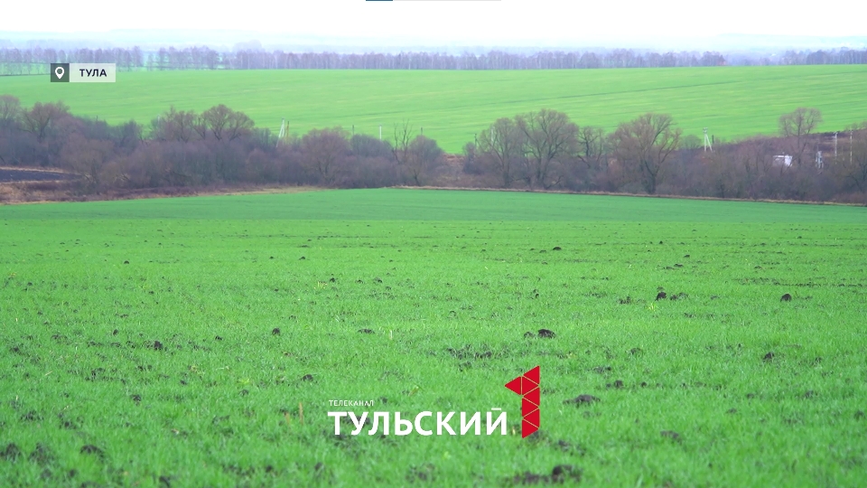 Погода бунтует: чем грозит рекордный плюс