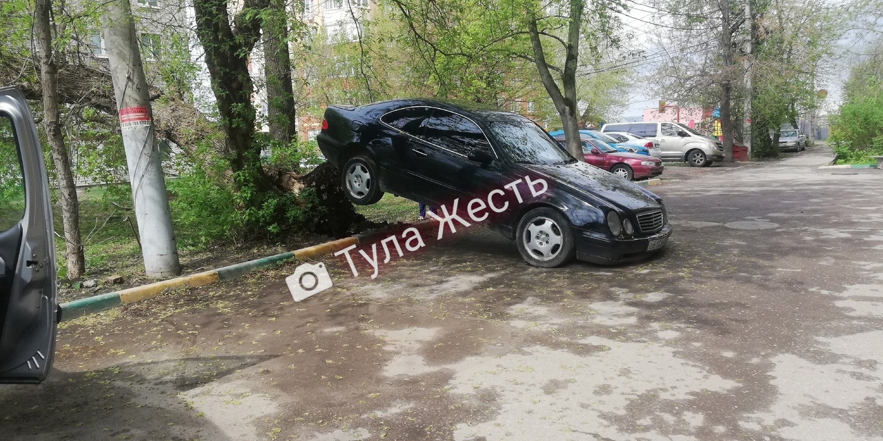 В Туле рухнувшее дерево приподняло Mercedes над землей - Новости Тулы и  области - 1tulatv