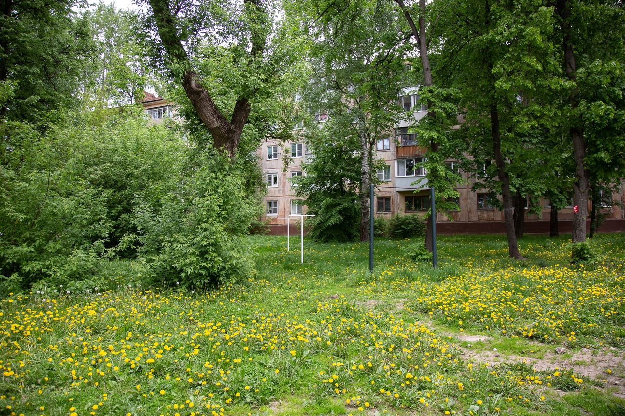 Туляки могут пожаловаться на некошеную траву