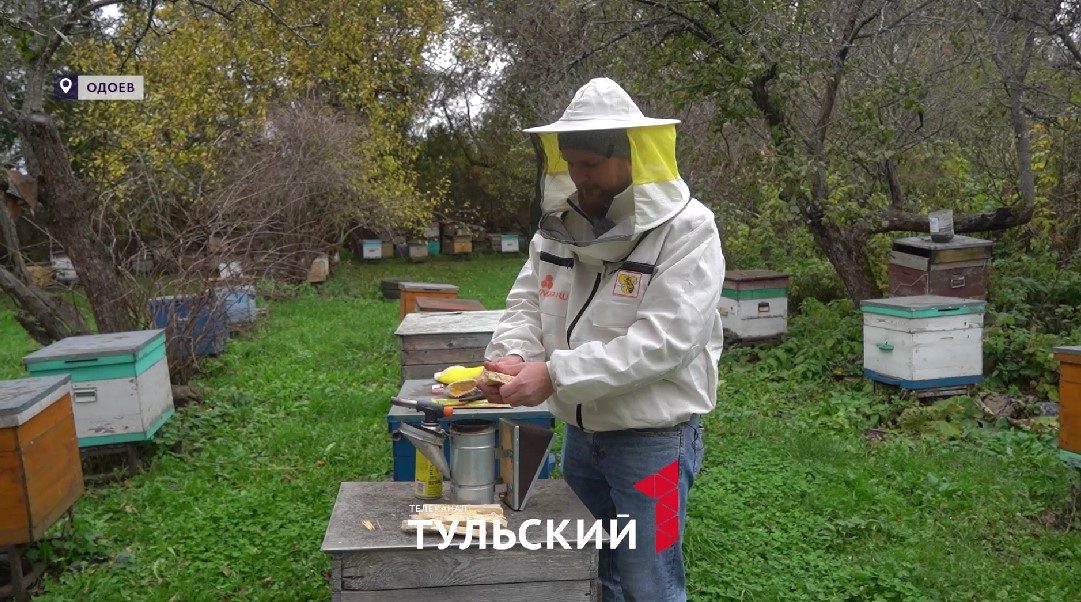 Пчеловоды в Тульской области могут вернуть половину расходов за год