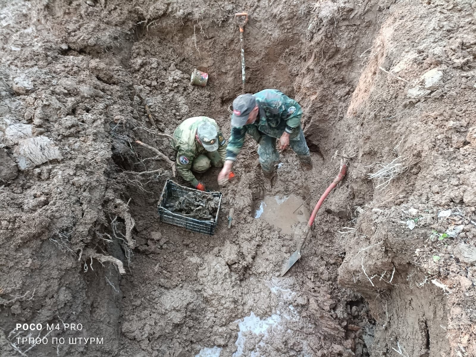 В Тульской области обнаружили останки 79 красноармейцев