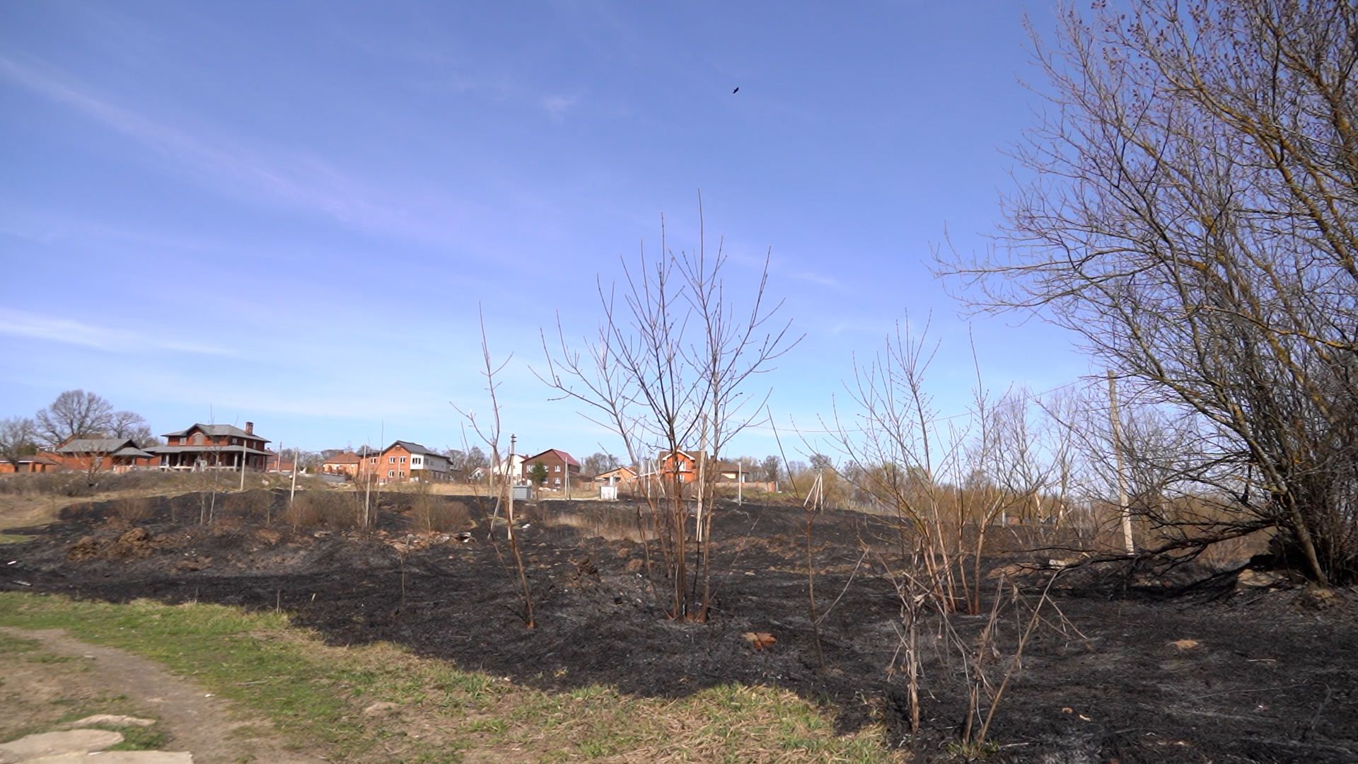 В Петровском квартале в Туле огонь с полей погасили всего в 20 метрах от жилых домов