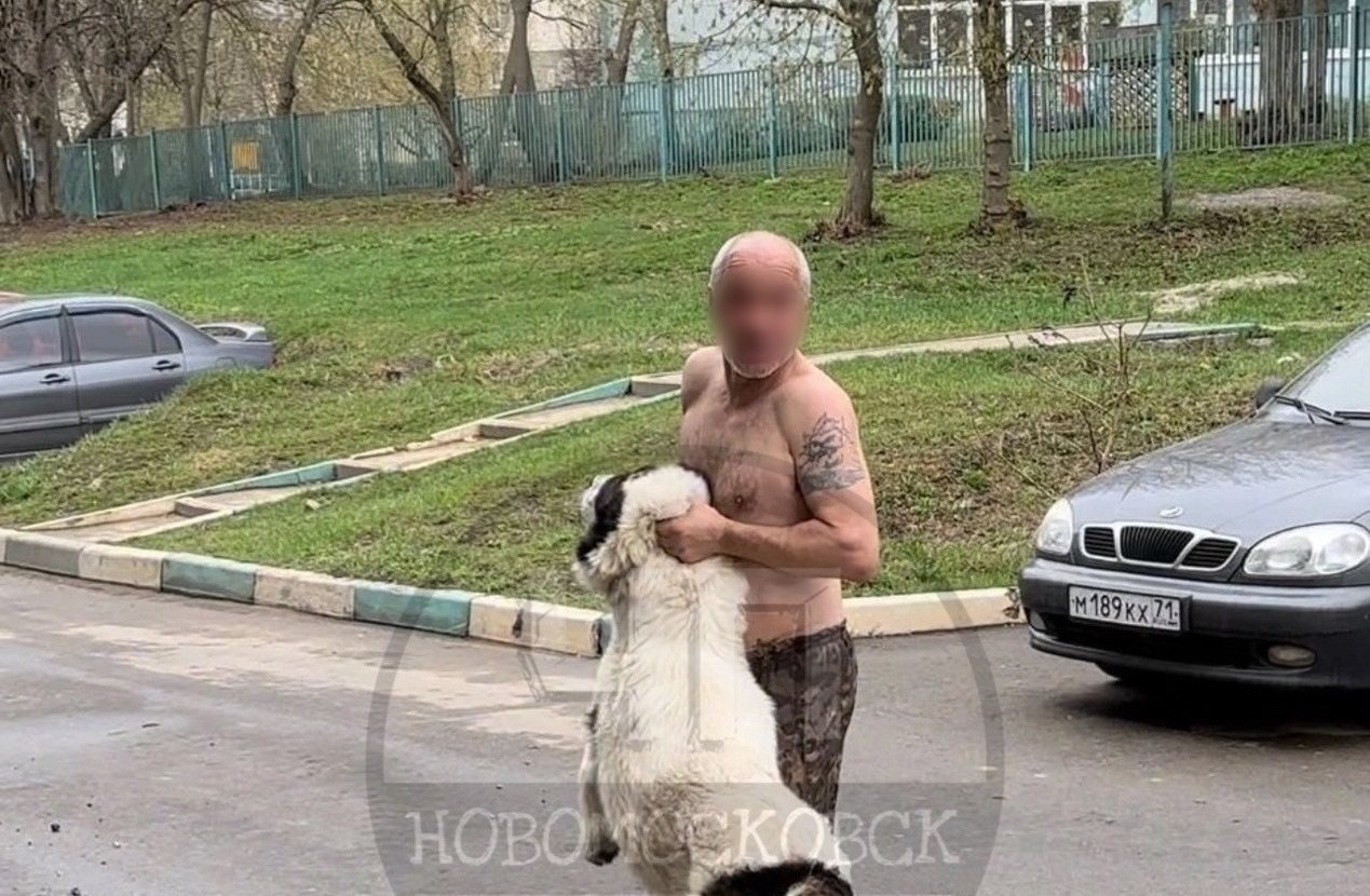 В Новомосковске алабай напал на прохожих: полиция проводит проверку