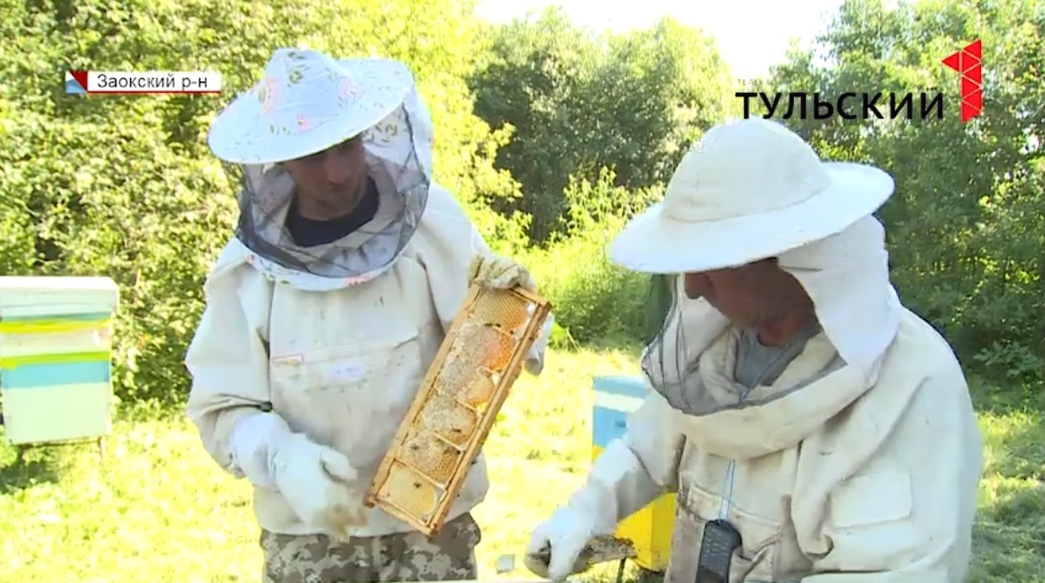 К Медовому Спасу «Туластат» посчитал среднюю цену меда в Тульской области
