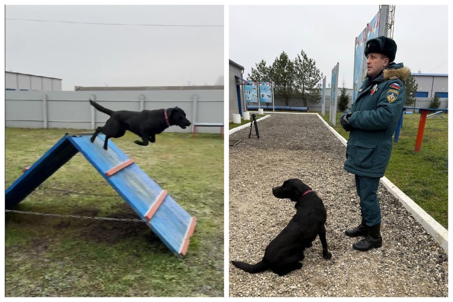 Назван самый милый сотрудник МЧС Тулы