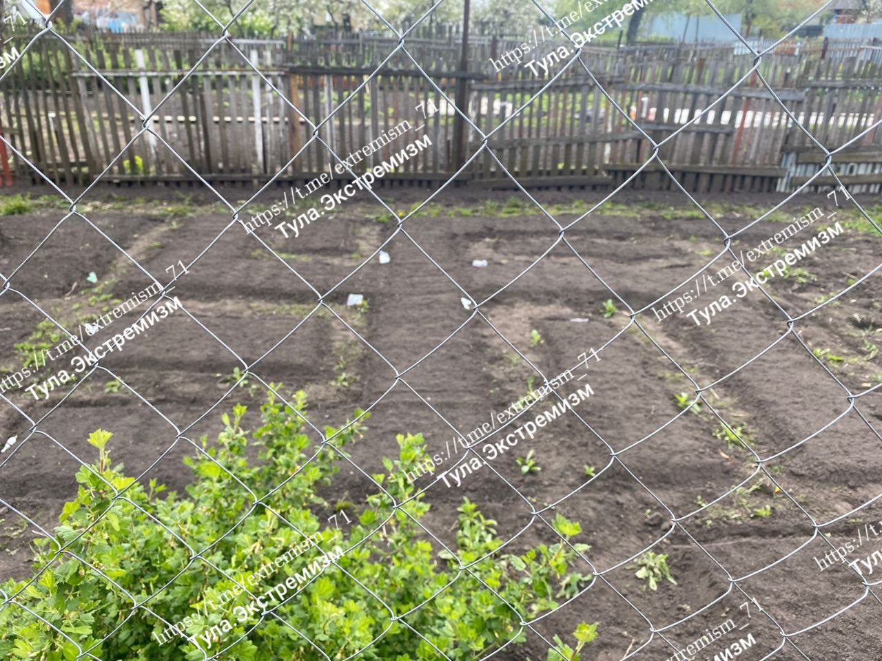 Житель Киреевска оформил грядки у себя на огороде в форме свастики