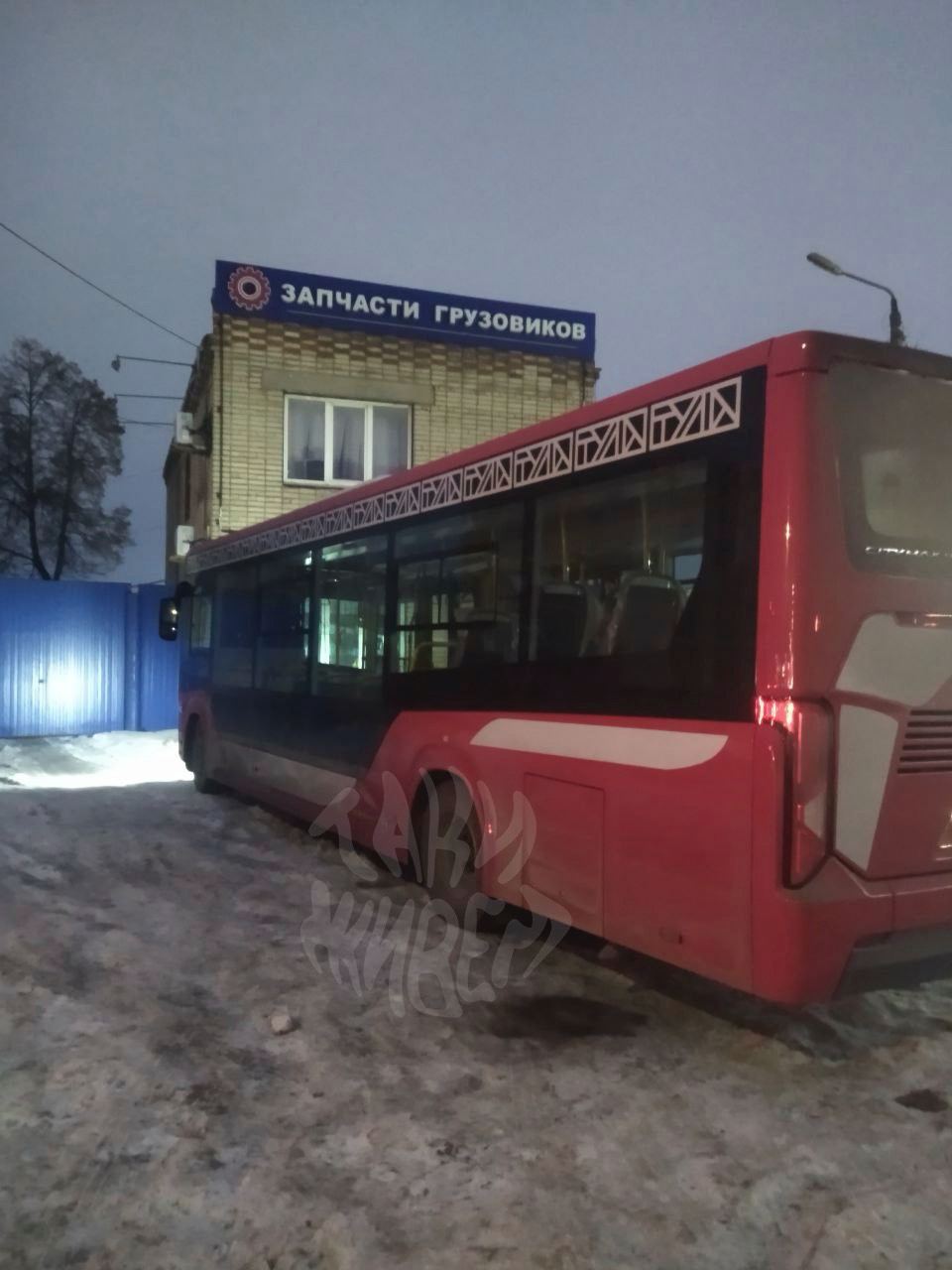 В Туле заметили новые автобусы в «львином» дизайне - Новости Тулы и области  - 1tulatv