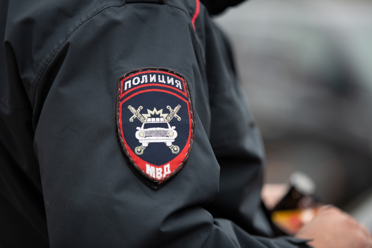 Рецидивист из Новомосковска попался на краже из магазина автотоваров