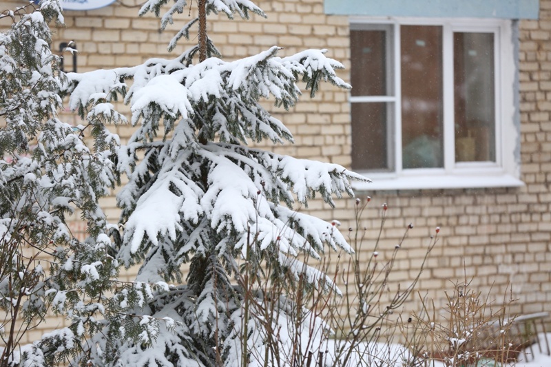 16 февраля снег в Тульской области станет умеренным