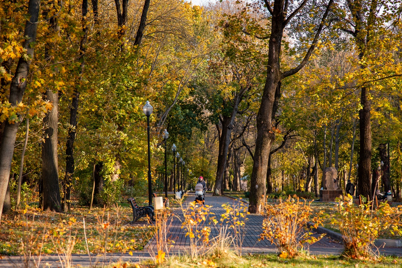 Октябрь тула. Тула ноябрь.