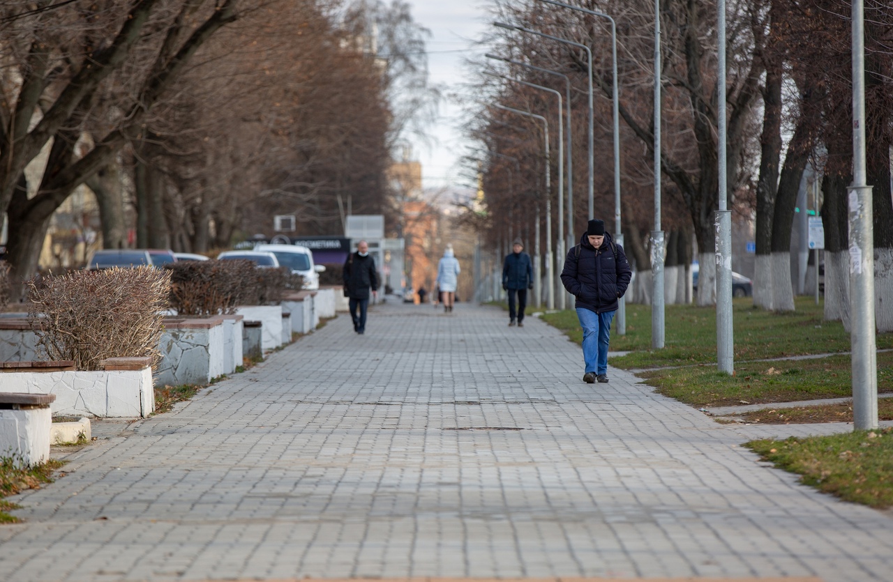 Прошли небольшие. Тула ноябрь. Сегодня пасмурно. Погода в Туле на 12 ноября.