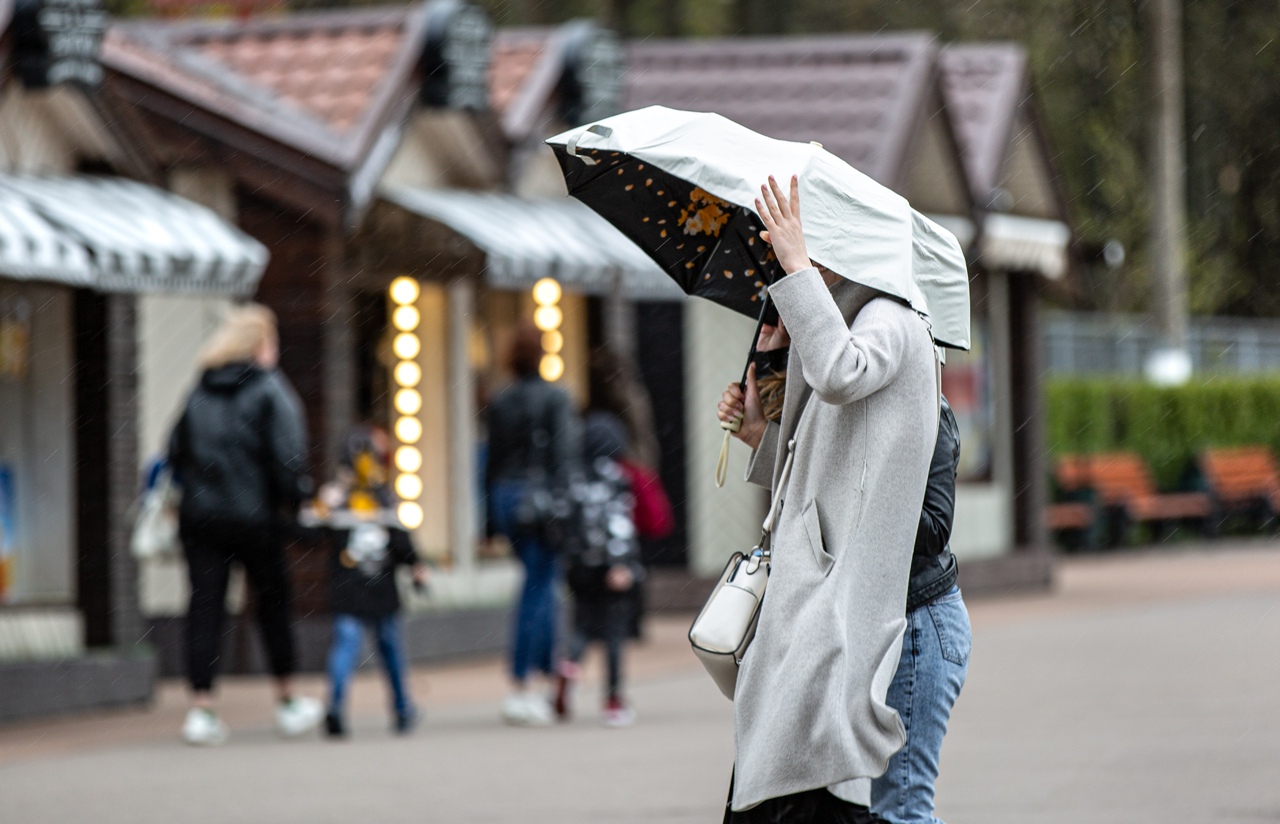 Дожди и +20 градусов: прогноз погоды на 3 дня в Тульской области