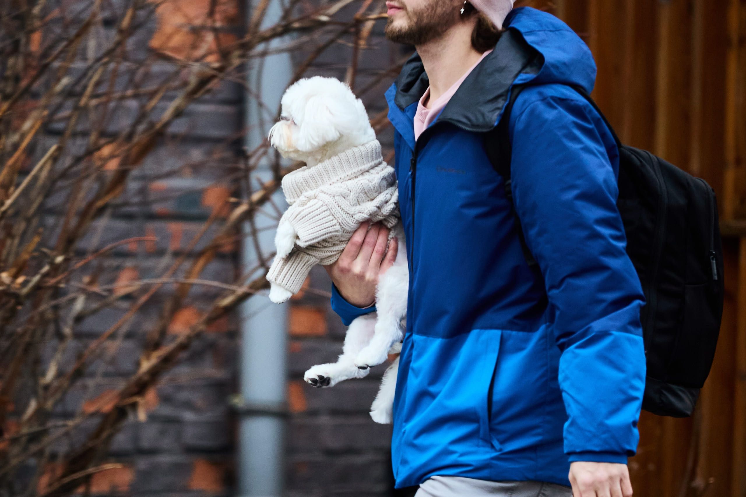 В ночь на 24 ноября в Туле ожидается дождь