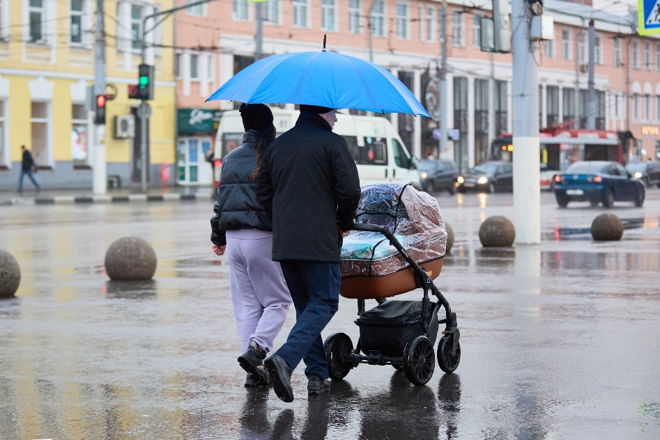 В России увеличат размер маткапитала на первого ребенка в 2026 году
