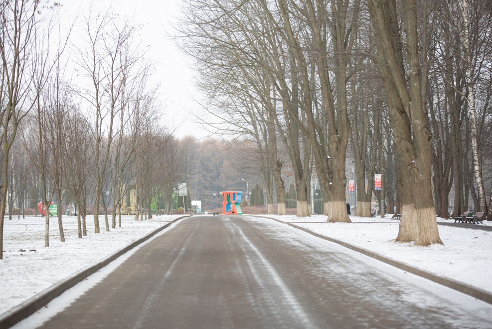 11 декабря в Туле ожидается мокрый снег