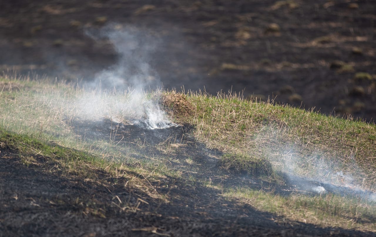 В Тульской области заканчивается пожароопасный сезон 12 октября