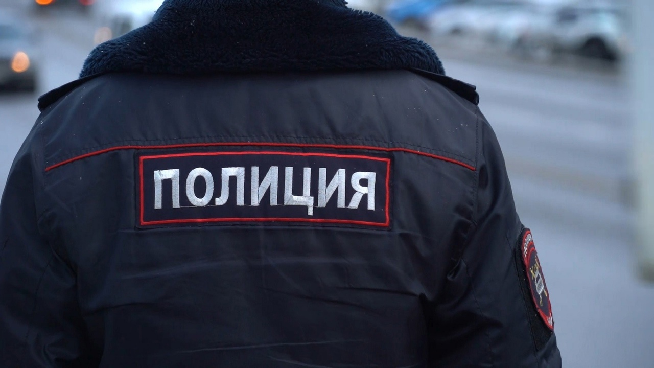 Женщина украла смартфон у 17-летней девушки в Новомосковске