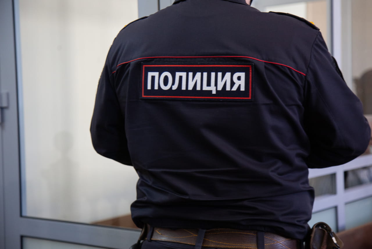 Женщине из Новомосковска назначили обязательные работы за нападение на полицейского