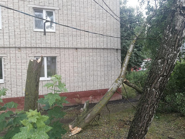 Солнце повисло в осиновых ветках и пропало за лесом схема предложения