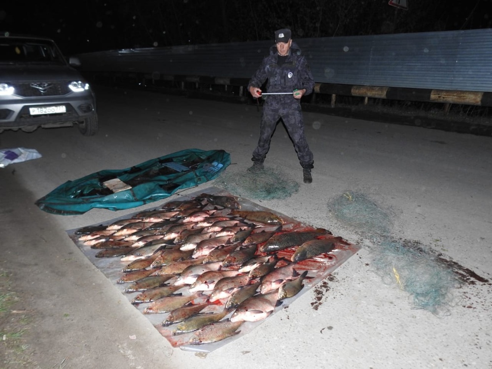 Туляк-браконьер незаконно выловил более 30 рыб