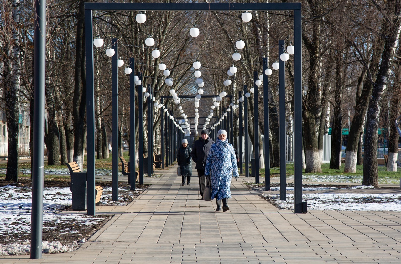 Социальная тула