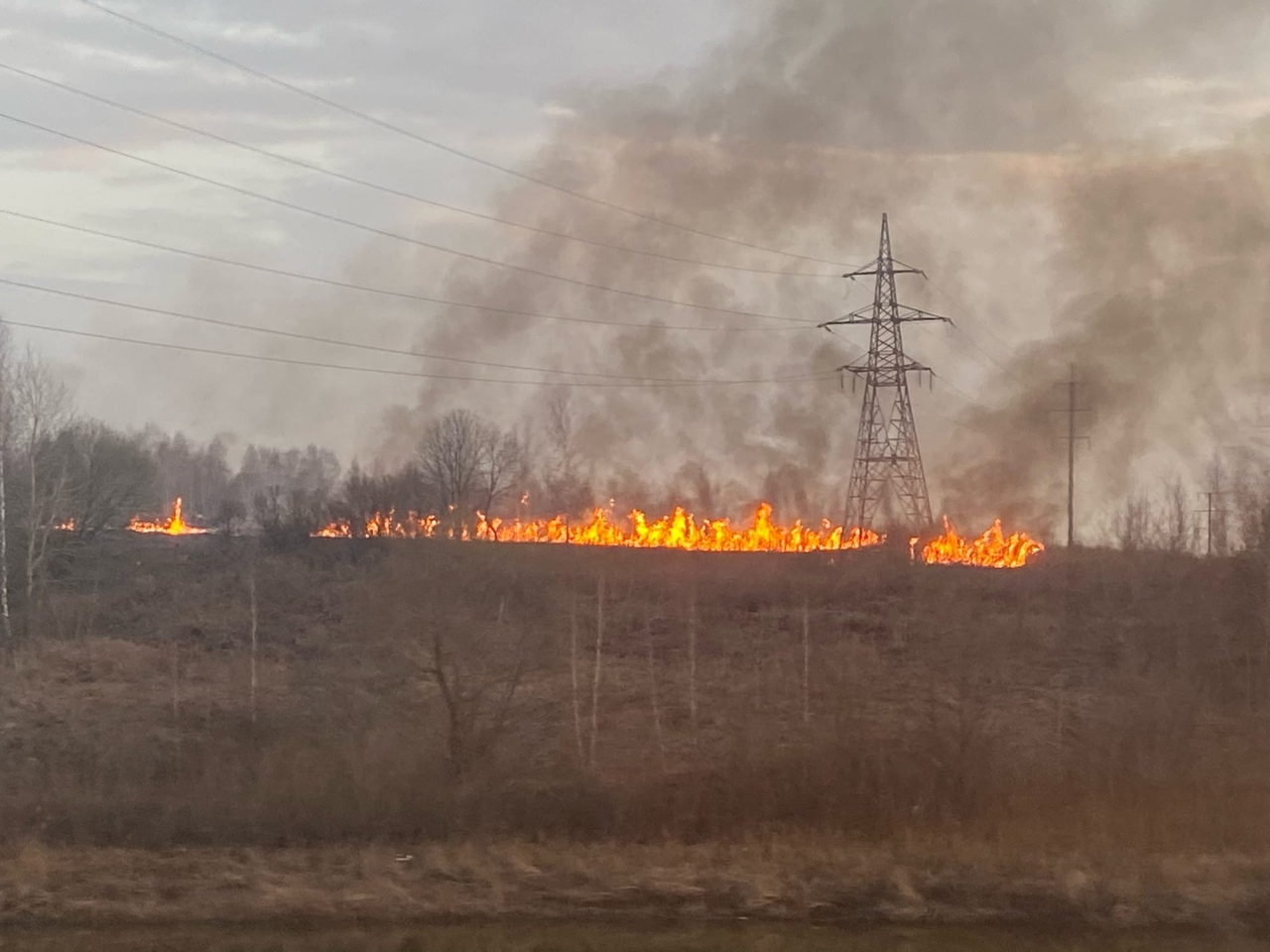 В Тульской области продолжаются случаи возгорания сухой травы