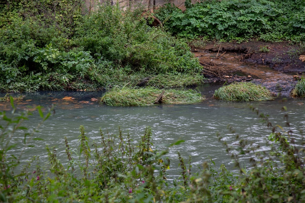 Экологи назвали самые загрязненные реки Тульской области