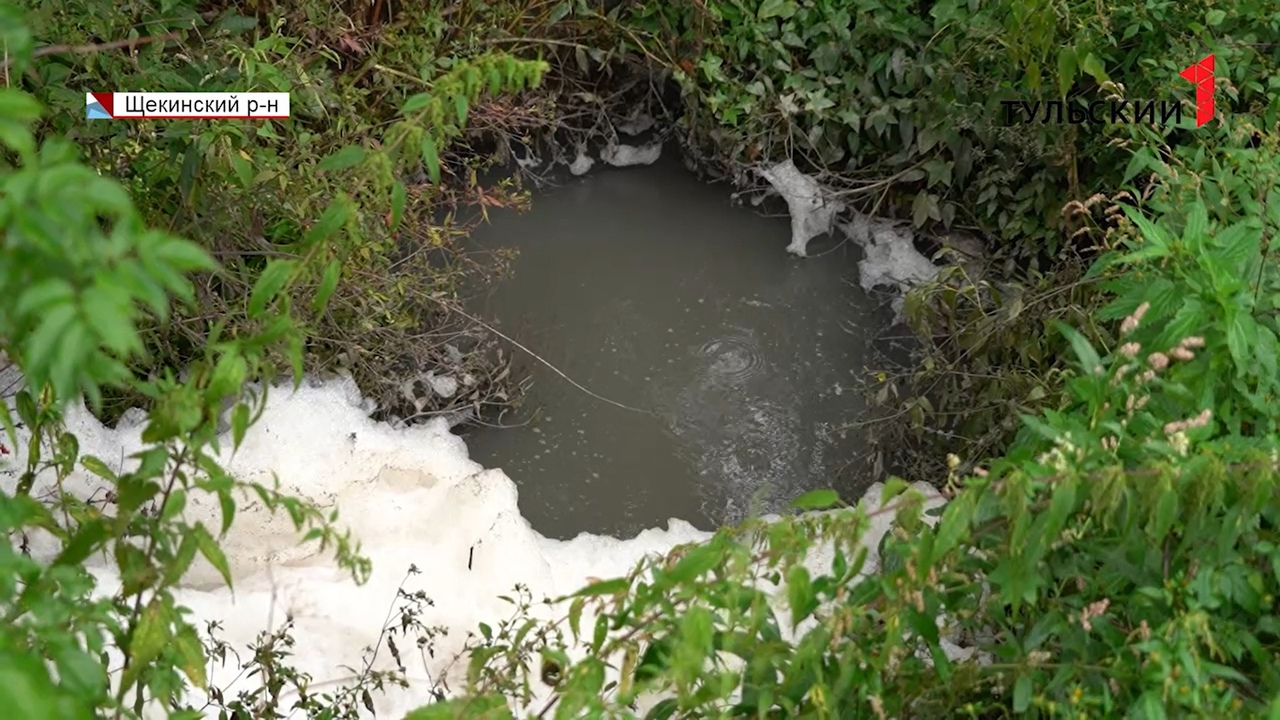 Белая пена и канализационные нечистоты: экологическое ЧП произошло сразу на двух водоемах под Щекино