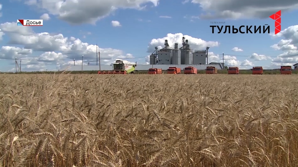 В Тульской области увеличились предельные размеры земельных участков для фермеров