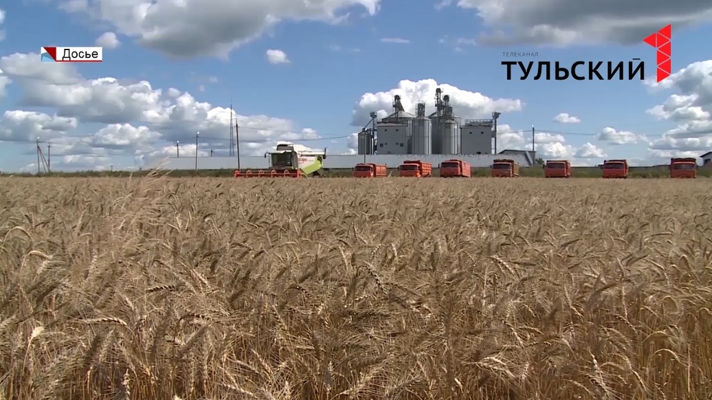 Тульским сельхозпроизводителям нужно принять участие в микропереписи