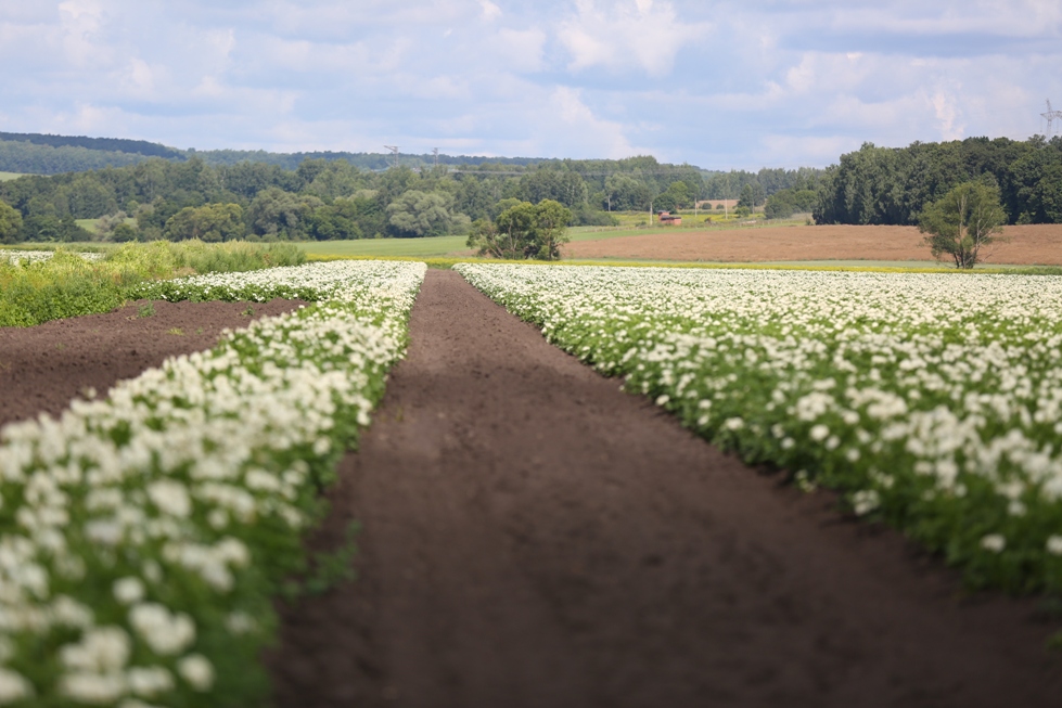 Туристические объекты разрешат строить на сельхозземлях