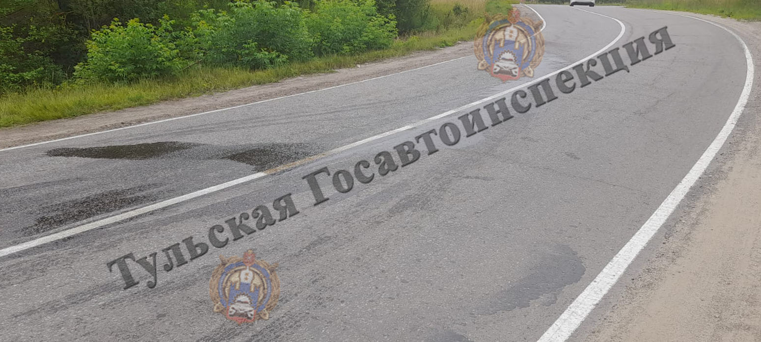 В Щекинском районе 38-летний мотоциклист опрокинулся на проезжей части