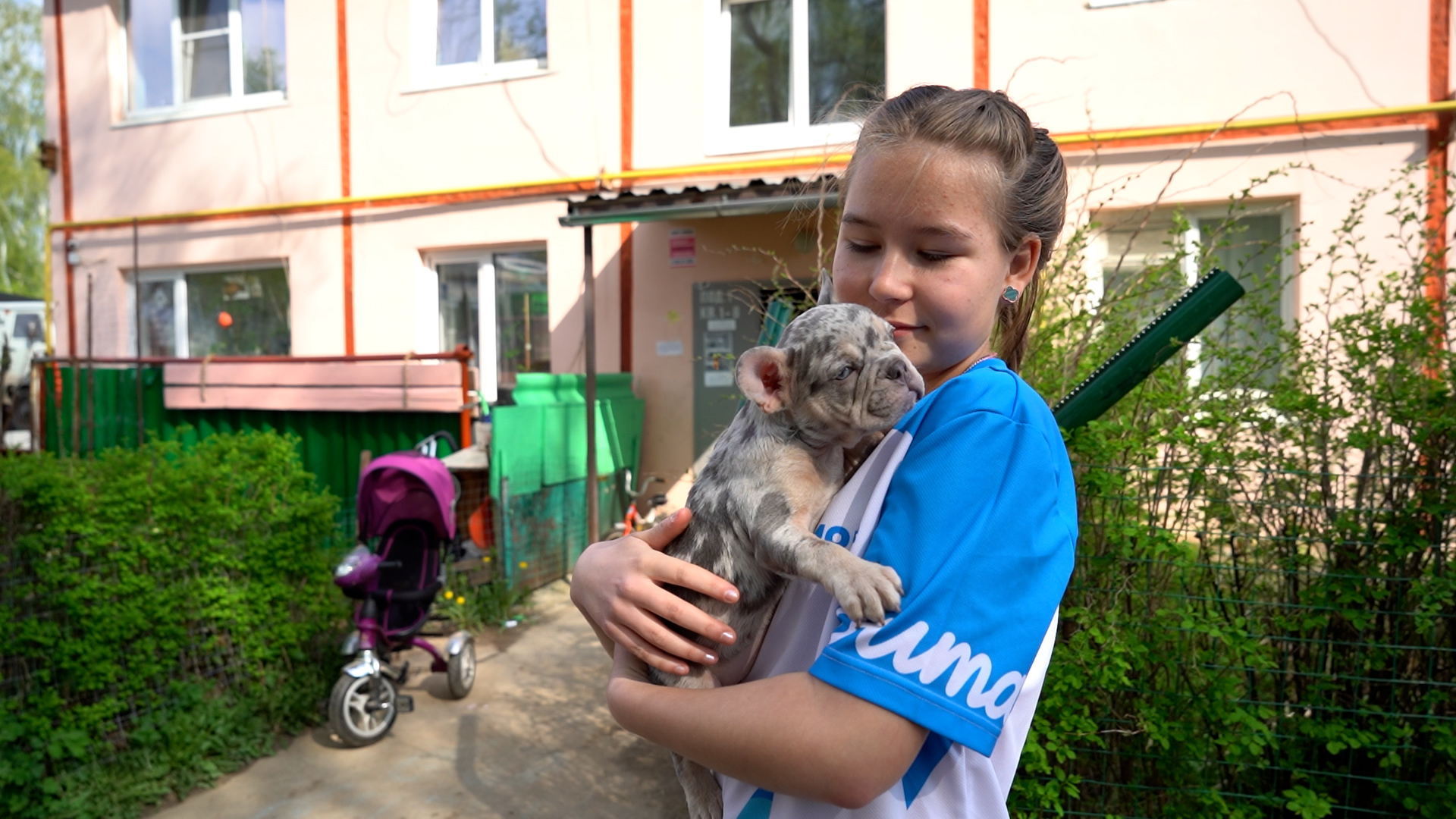 Обыкновенное чудо: Владимир Путин подарил школьнице из Веневского района щенка