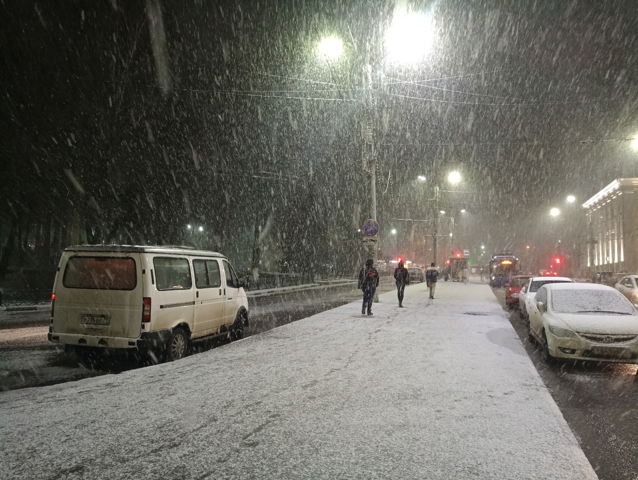 В ночь на 25 ноября в Туле может пройти снег с дождем