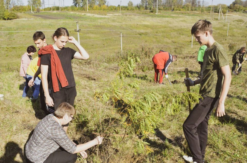 Тульская область присоединилась к Всероссийской экологической акции