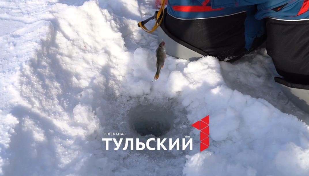 Чемпионы России по рыбной ловле разрушили стереотип о зависимости поклевки от погоды