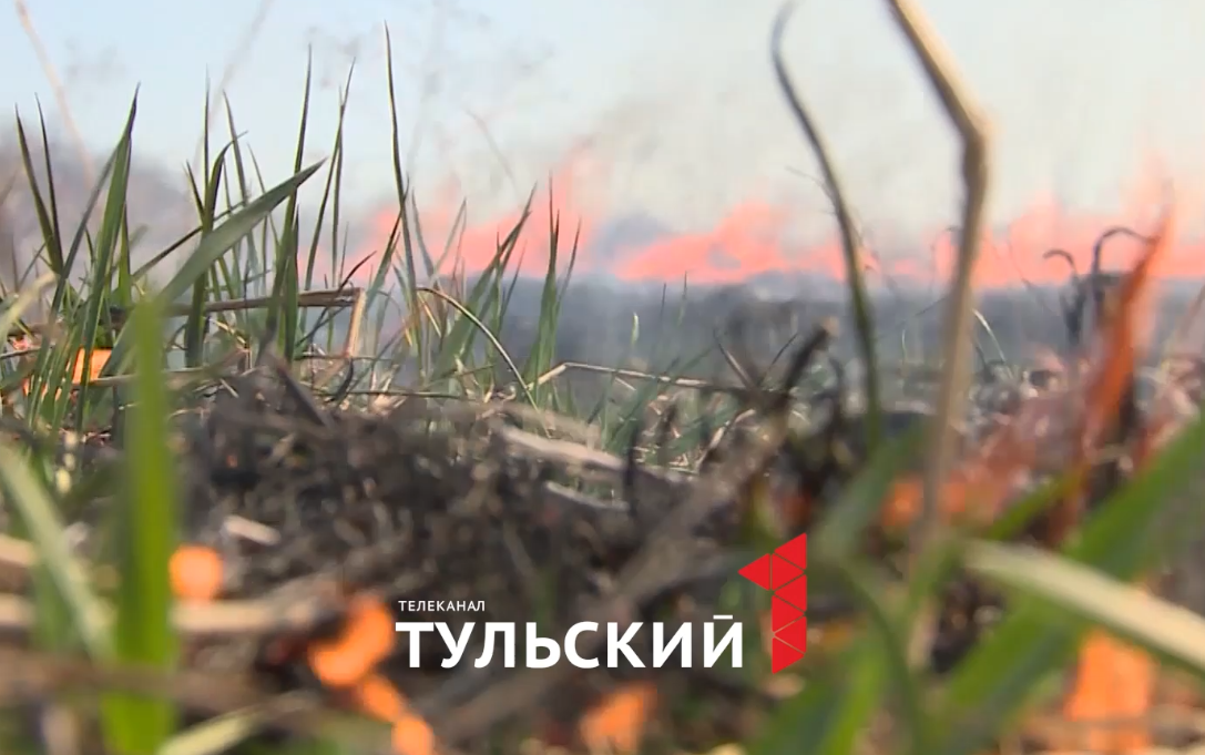 В Тульской области начался пожароопасный сезон: как правильно избавиться от сухой травы