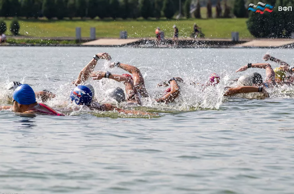 Туляки завоевали медали на Кубке России по плаванию на открытой воде