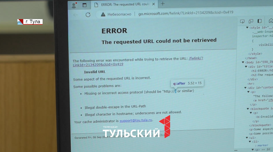 Программист из Тулы рассказал о «первом обнаруженном баге в природе»