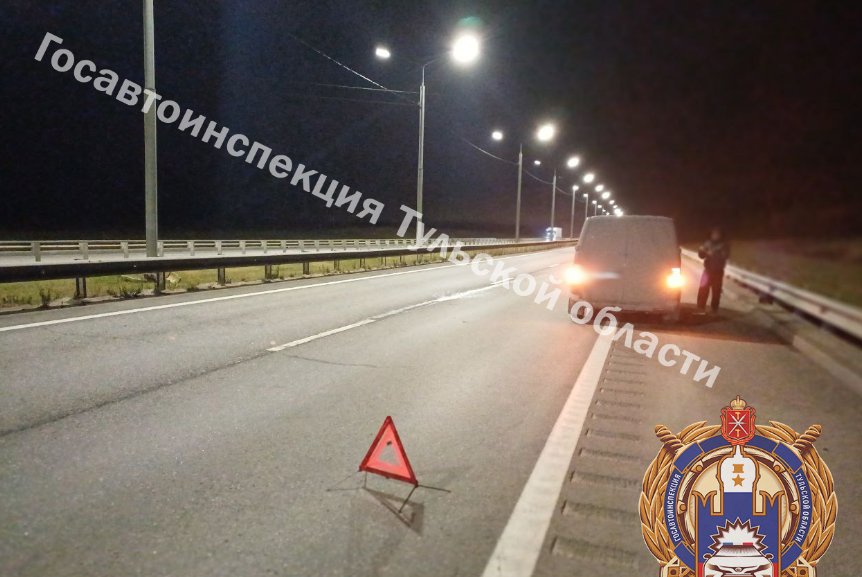 В Тульской области 34-летний водитель микроавтобуса столкнулся с автомобилем "Луидор"